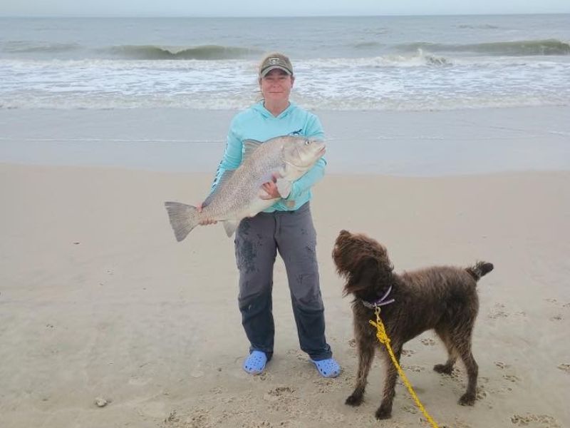 Black drum fishing maryland assateague island