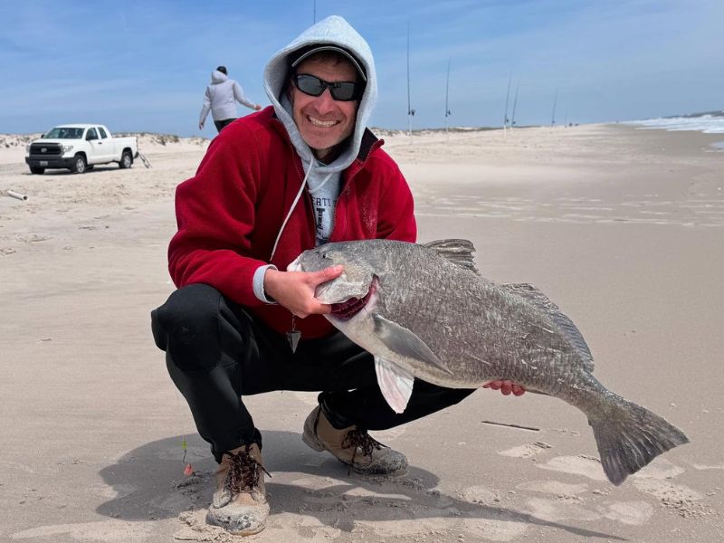 Black drum fishing eastern shore