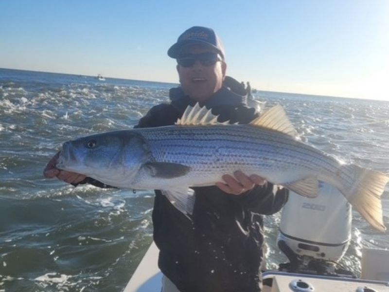 Striped bass fishing Delaware Bay