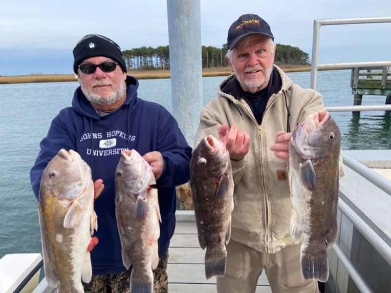 Tautog fishing Delaware