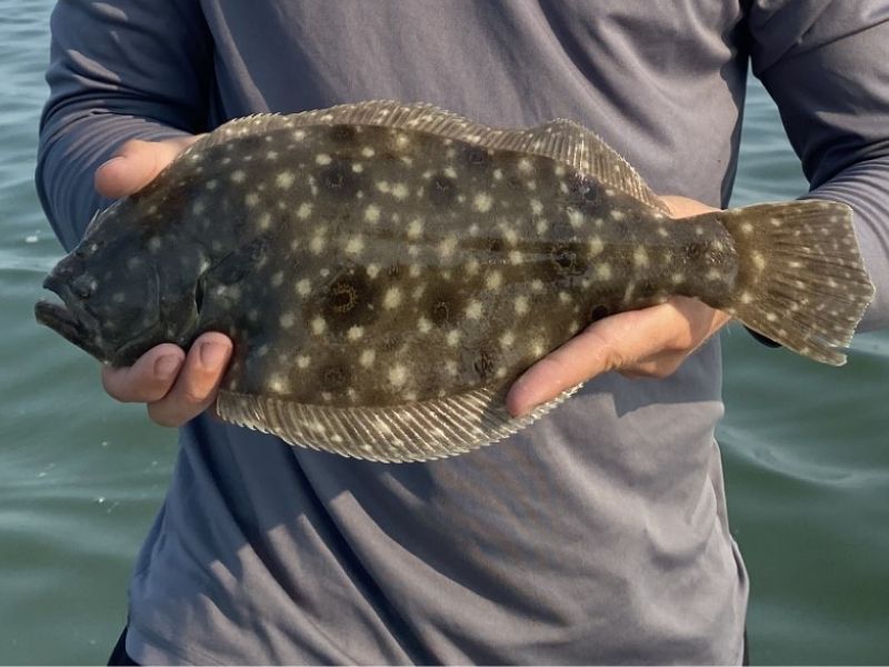 flounder fishing ocean city maryland