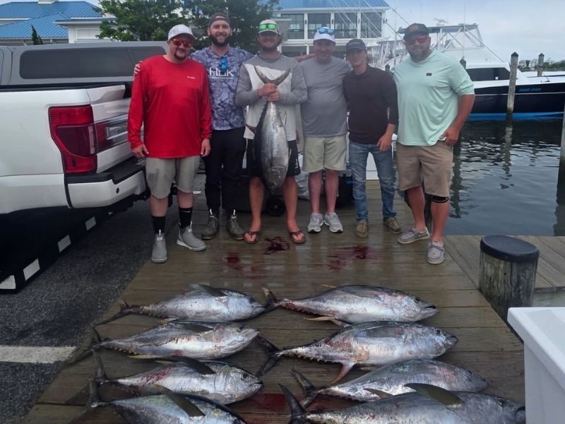 Yellowfin Tuna fishing Ocean City