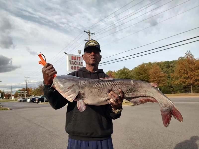 Blue catfish fishing maryland