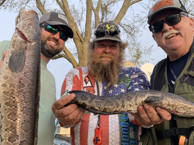 snakehead fishing maryland