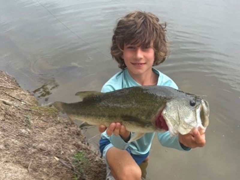 Largemouth bass fishing