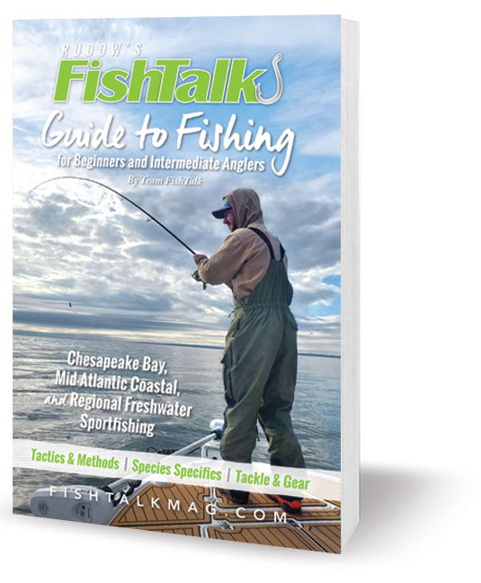 guide to fishing for beginners