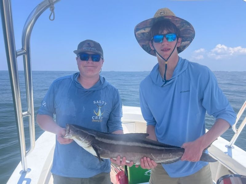 Cobia Fishing Chesapeake Bay
