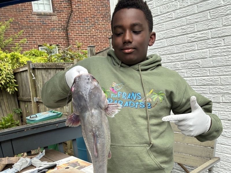 blue catfish chesapeake bay invasive species