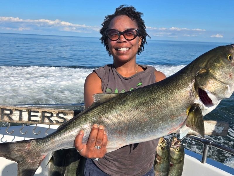 Chesapeake Bay bluefish