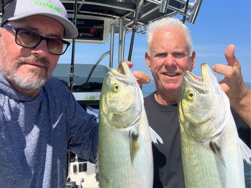 Bluefish fishing Chesapeake Bay