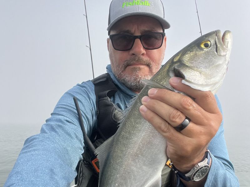 Bluefish fishing Chesapeake Bay