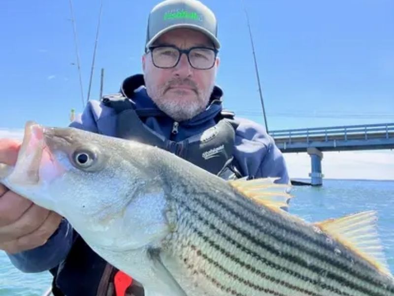 Striped bass fishing Chesapeake Bay