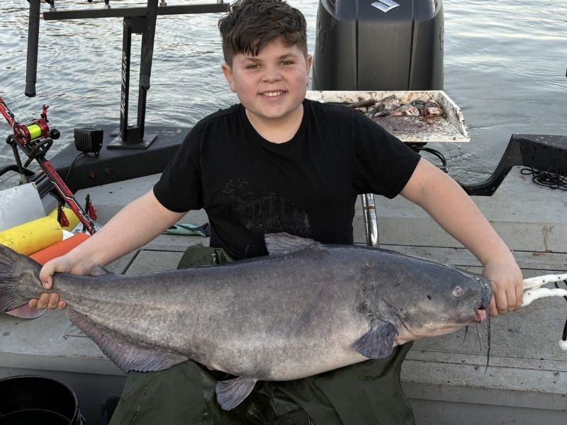 blue catfish potomac river