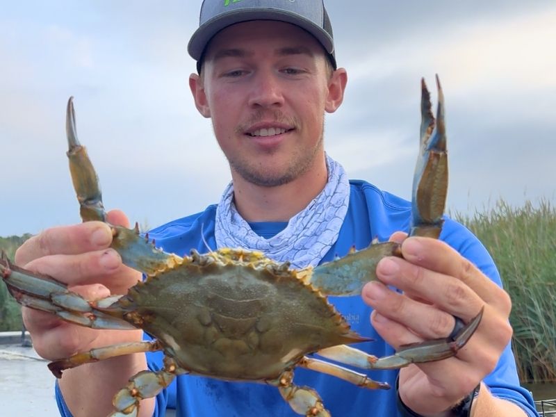 Chesapeake Bay crabbing