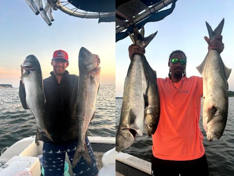 Bluefish fishing Chesapeake Bay