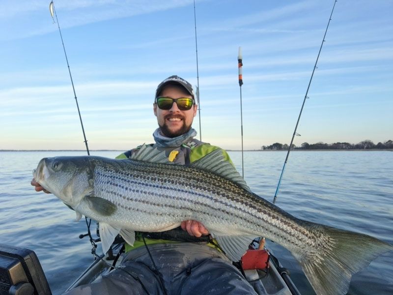 Striped bass kayak fishing
