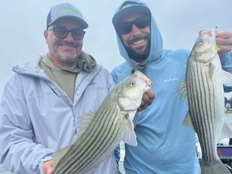 Chesapeake bay striped bass fishing