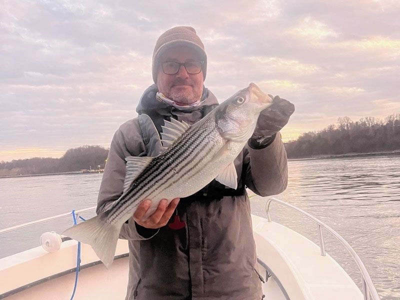 Striped bass fishing Chesapeake Bay