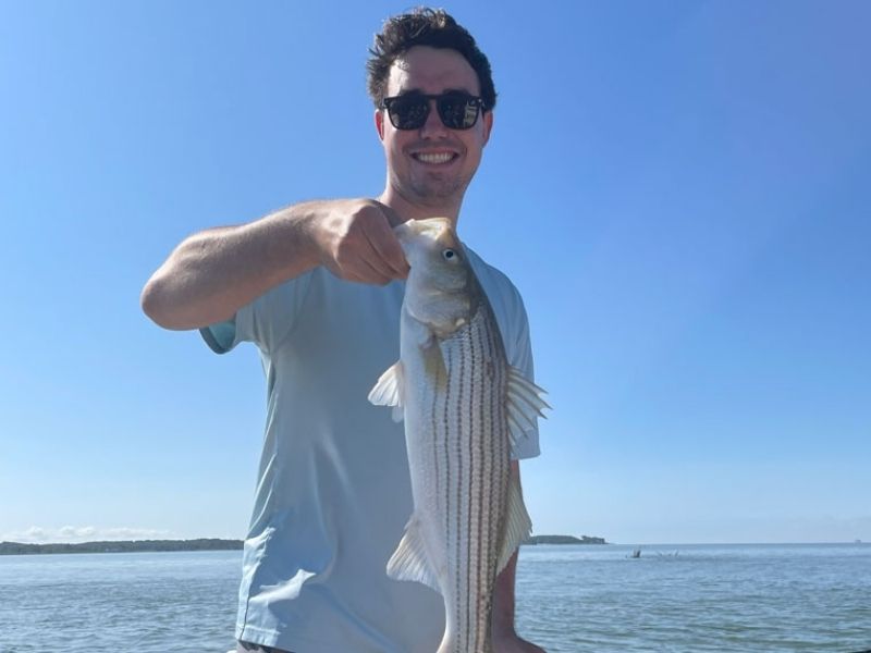 striped bass fishing chesapeake bay