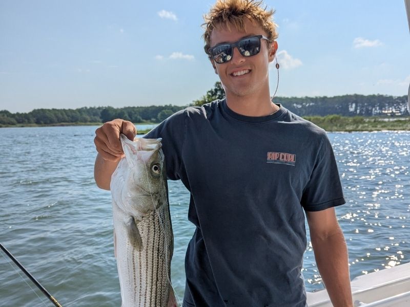 striped bass fishing chesapeake bay