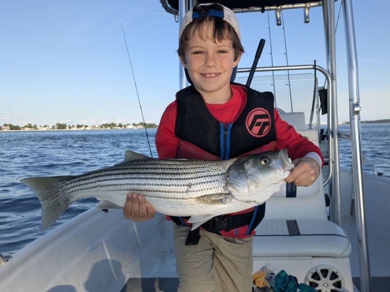striped bass fishing chesapeake bay