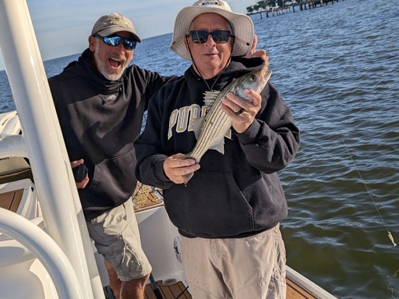 striped bass fishing chesapeake bay