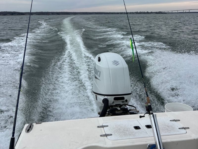 Striped bass fishing