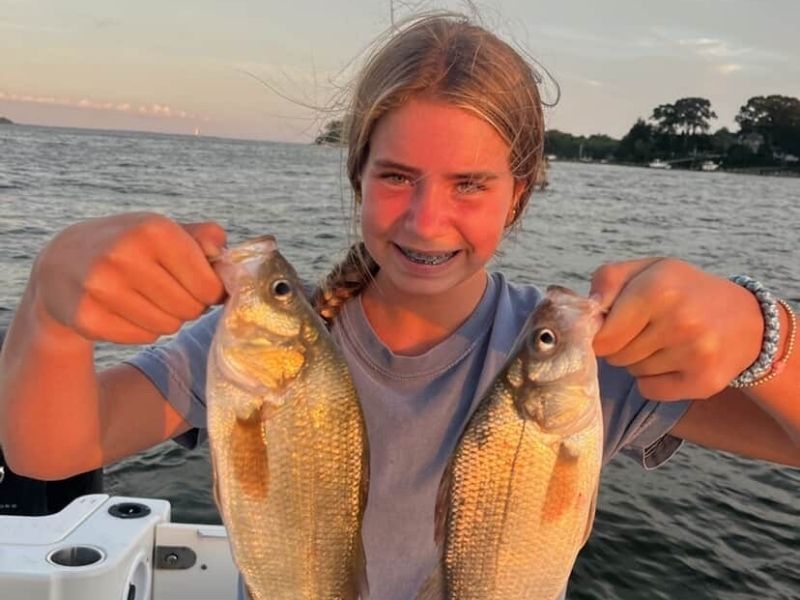 White perch fishing chesapeake bay