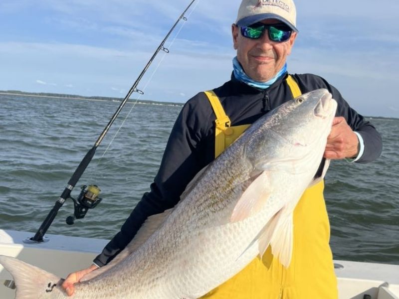 Bull red drum Chesapeake Bay