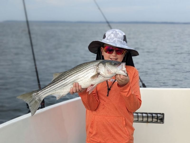striped bass fishing chesapeake bay