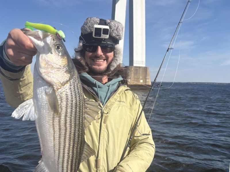 Striped Bass fishing Bay Bridge