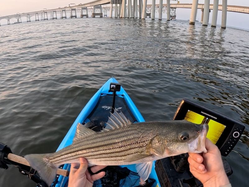 Kayak fishing chesapeake bay