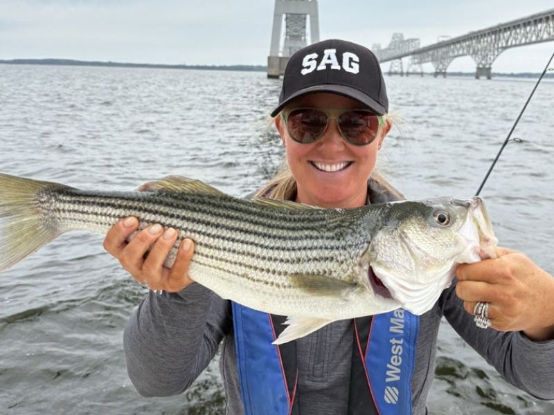 Striped bass fishing Chesapeake Bay