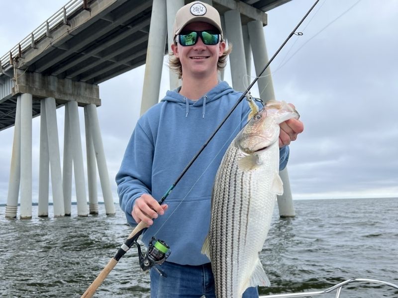 striped bass fishing chesapeake bay