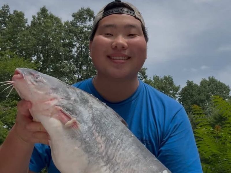 blue catfish chesapeake bay invasive species