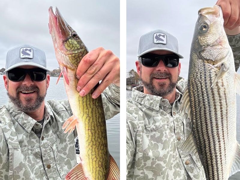 Chesapeake Bay pickerel fishing