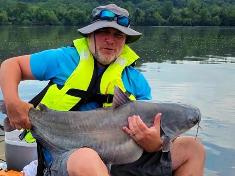 blue catfish chesapeake bay invasive species