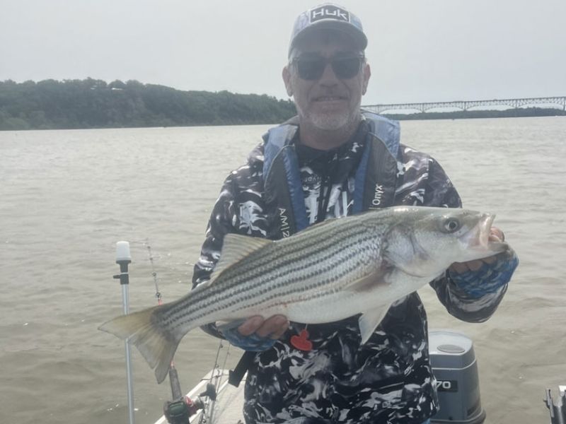 rockfish fishing Chesapeake Bay