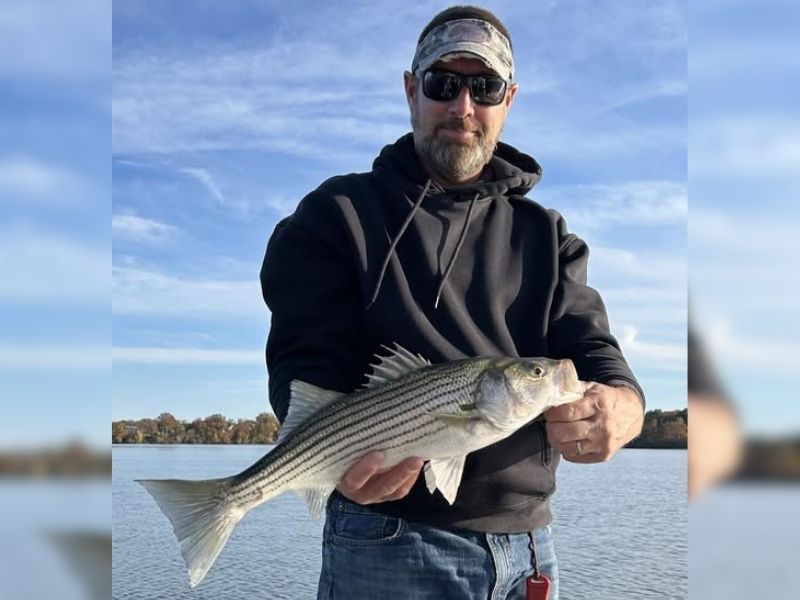 striped bass fishing chesapeake bay