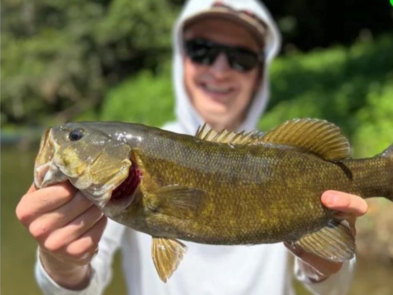 Smallmouth bass fishing