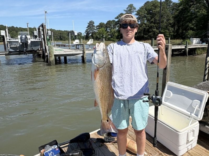 red drum chesapeake bay fishing
