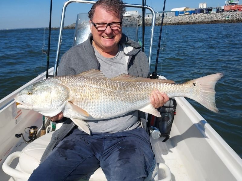 Bull red drum Chesapeake Bay