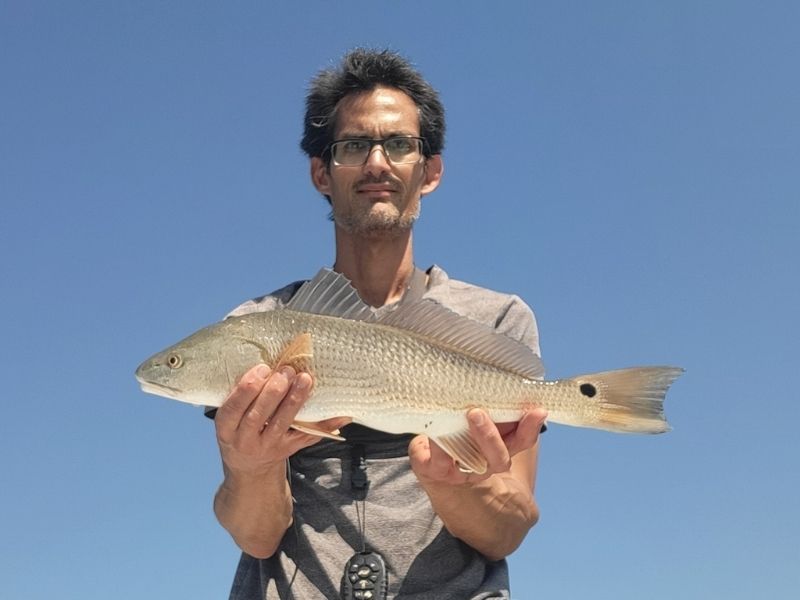 red drum fishing Chesapeake Bay