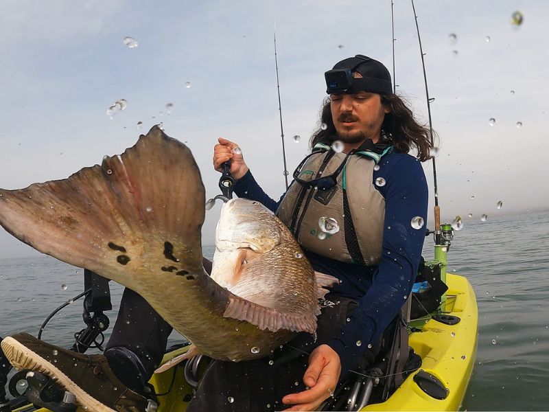 red drum fishing Chesapeake Bay