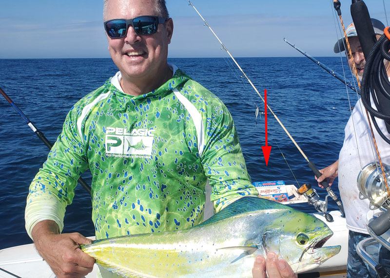 fisherman caught a mahi