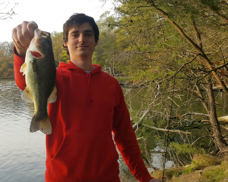 shoreline fishing for bass