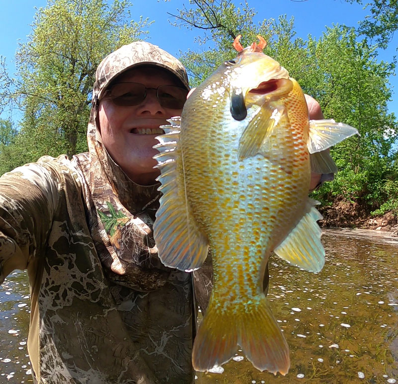 sunfish caught wet wading