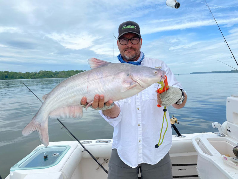 angler fishing for blue catfish