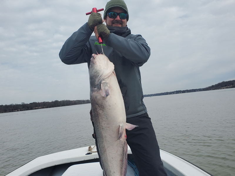 big potomac river catfish