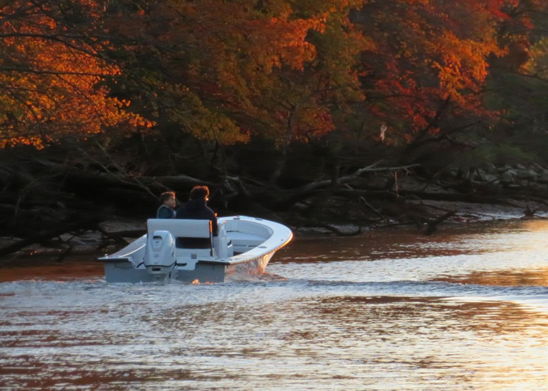 cotton thomas calvert 16 boat